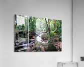 Hiking Hawaii Water Flow B Impression acrylique