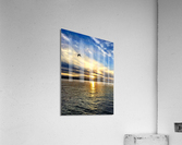 Flying Over the Edgewater Acrylic Print