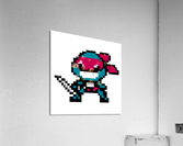 Baby Shark Ninja Himu Acrylic Print