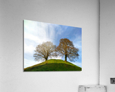 Standing Guard Acrylic Print