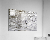 Only The Lonely Loon 1B Acrylic Print