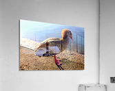 Duck Pose Impression acrylique