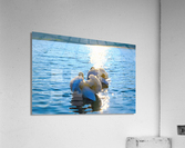 Behind Wings of Love 2B Acrylic Print