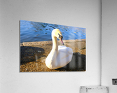 Lake’s Guardian Acrylic Print