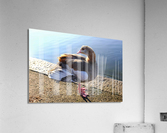 Graceful Pause Impression acrylique