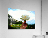  Offering of the Wild Acrylic Print