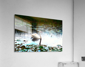 Silent Glide Impression acrylique