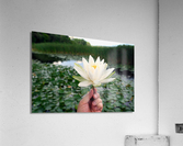 Lifting Beauty Impression acrylique