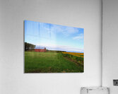 Raising Sunshine Sunflower Farm Acrylic Print