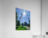 Luminary Curve Acrylic Print