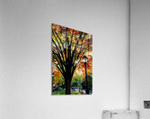 A Stroll in Color Acrylic Print