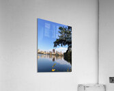 Nature’s Window to the City Acrylic Print