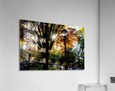 Shades of Autumn Acrylic Print