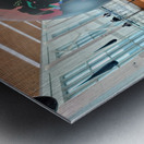 Hemispheres in Flight at  La Guardia Airport Metal print