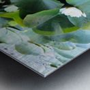 Nature’s Quiet Triumph Metal print