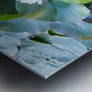 The Secret Life of Lilies Metal print