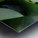 The Heart Within: Petals of Peace Metal print