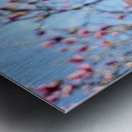The Quiet Language of Petals Metal print