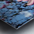 A Magnolia Moment in the Middle of Everything Metal print