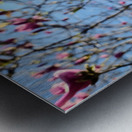 Spring Sun Worshipping Magnolia Impression metal