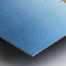 Rainbow Resilience at Paterson’s Edge Metal print