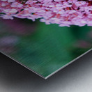 Sustaining Grace:  The Bee and the Butterfly Bush Metal print