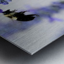 Salvia Bloom & the Pollinator Metal print