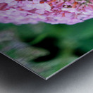 Bee Still on Butterfly Bush Impression metal