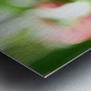 Petals and Purpose: An Ode to Quiet Industry Metal print