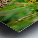 Field Cipher: A Nature Decoded Metal print