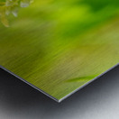 The Daylight Firefly: Guardian of the Green Flame Metal print