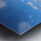 The Soft Chaos of Summer Metal print