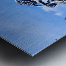 Sculpted Myth Sunlit Truth Metal print