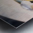 Shellshed Ritual Metal print