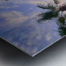 Tropic Stillness Above the Noise Metal print