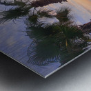 Palm Witnesses of the Falling Sun Metal print