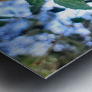 Emergence in Green Metal print