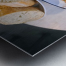 The Quiet Feast Metal print