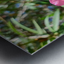 Sun-Kissed Solitude Metal print