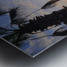 Between Palms and Possibility Metal print