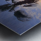 Palms Over the Skyline Metal print