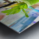 Botanic Burst Metal print