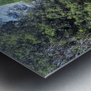 The Pause in the Path Metal print