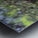 Nature’s Little Lanterns: A Hidden Symphony of Light and Green Impression metal