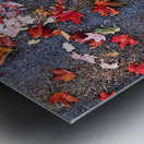 Grounded in Colors: Scattered Beauty Metal print