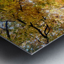 Fall Over the Road: Amber Dreams on Autumn Drive Metal print