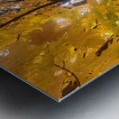 Golden Hour Tree Time: Crowned by Fall Metal print