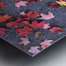 Grounded in Colors 1B Metal print