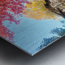 Fall Over the Fence - Autumn’s Embrace  Metal print