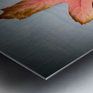 Losing Sight of Fall Metal print